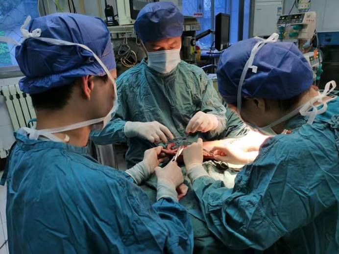 厉害!这家医院为患者切除了40斤的肿块,还保全了体肢