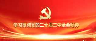 学习贯彻党的二十届三中全会精神